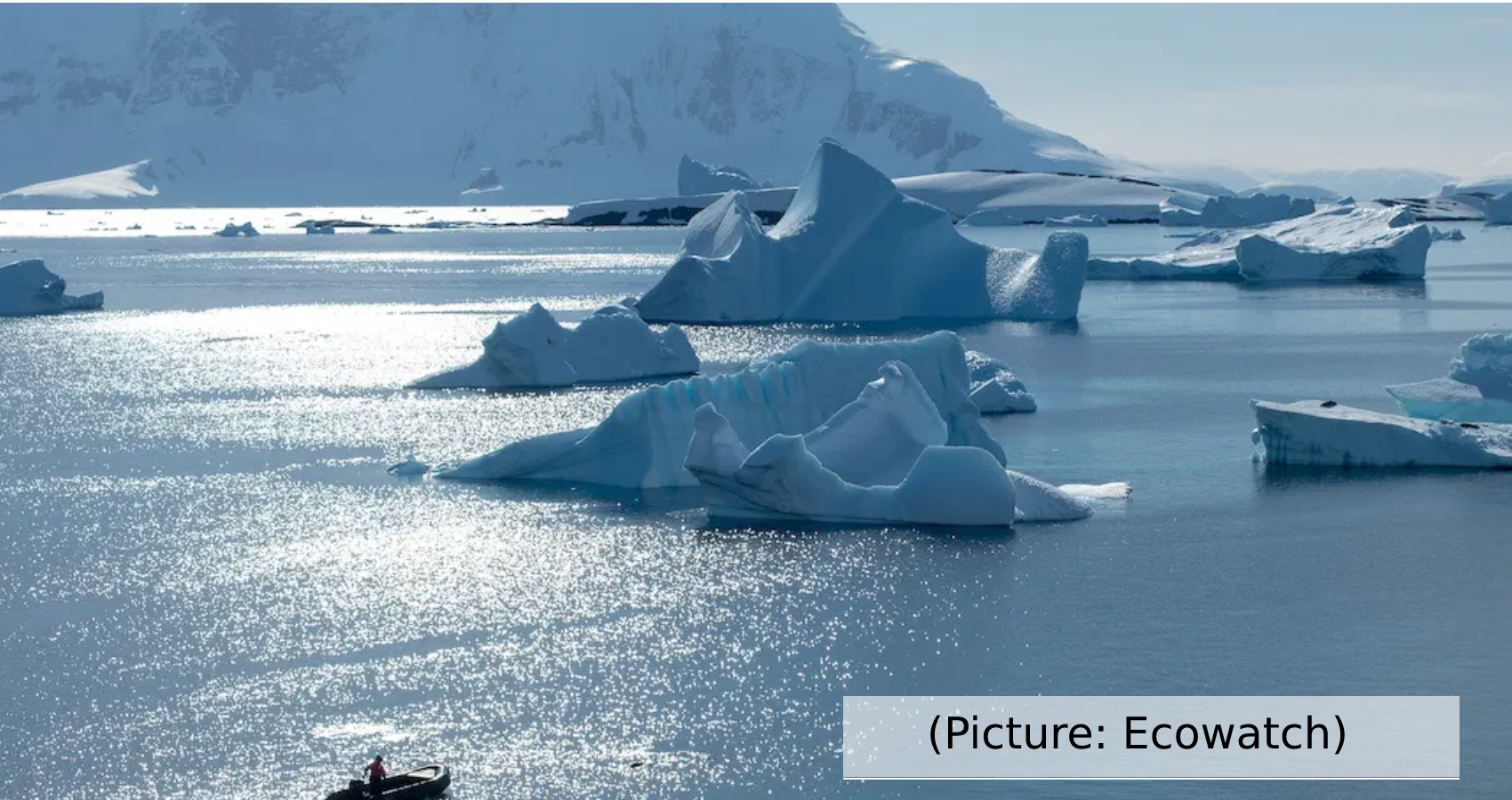 Extreme Life Beneath Antarctica’s Ice Shelves Poses Several Questions
