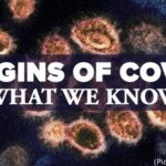 Why COVID-19’s Origins Must Be Investigated