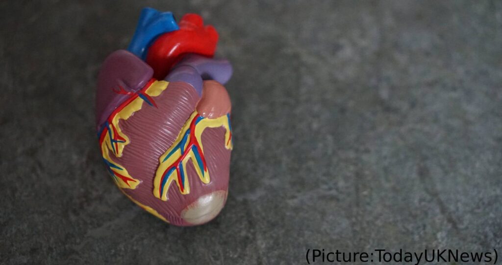 Heart Risk ‘Calculators’ Overlook Increased Risk For People Of South Asian Ancestry
