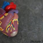 Heart Risk 'Calculators' Overlook Increased Risk For People Of South Asian Ancestry
