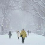 Arctic Warming Can Cause Severe Winter Weather