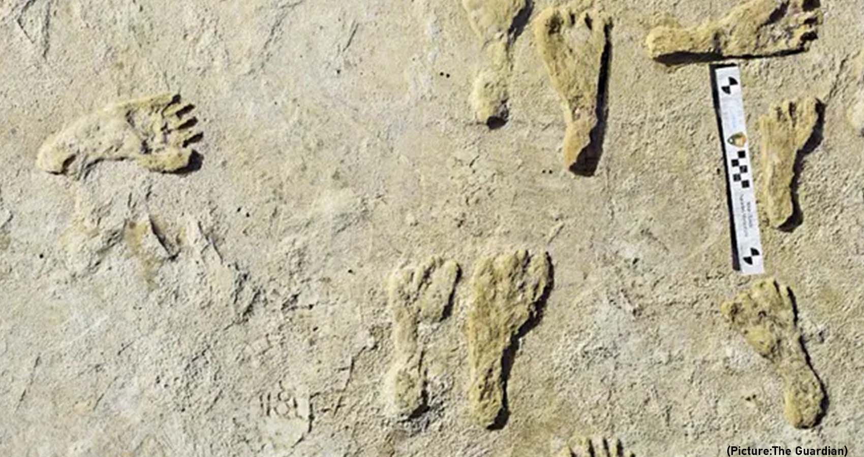 Human Footprints Thought To Be Oldest In North America Discovered