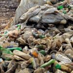 UN Plans To Drastically Expand Plastic Waste Management In India
