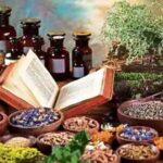 India To Get WHO Global Center For Traditional Medicine