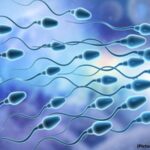 New Device Helps Sperm to ‘Go Against the Flow’ Benefitting Those With Infertility