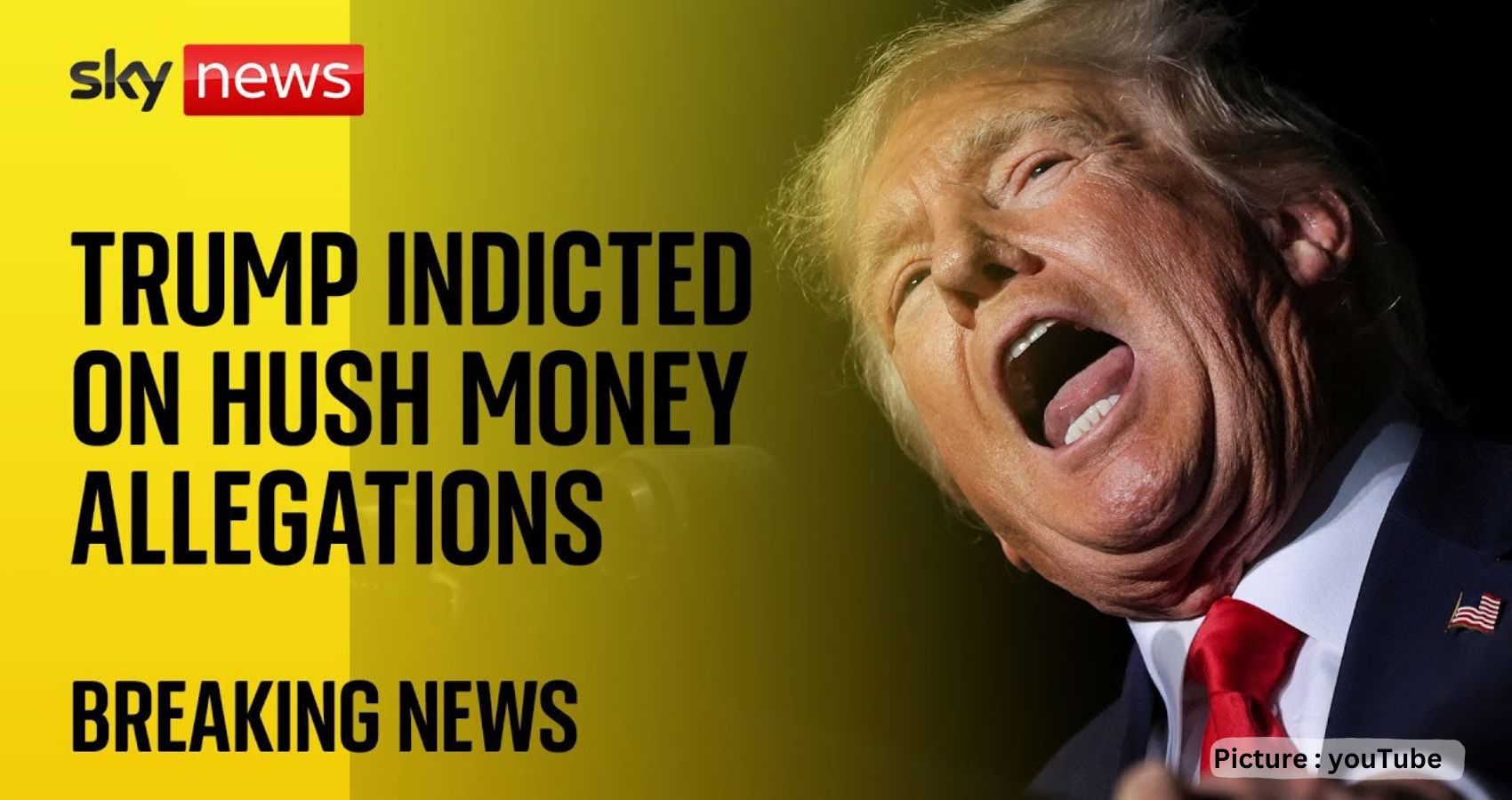Donald Trump Is Indicted