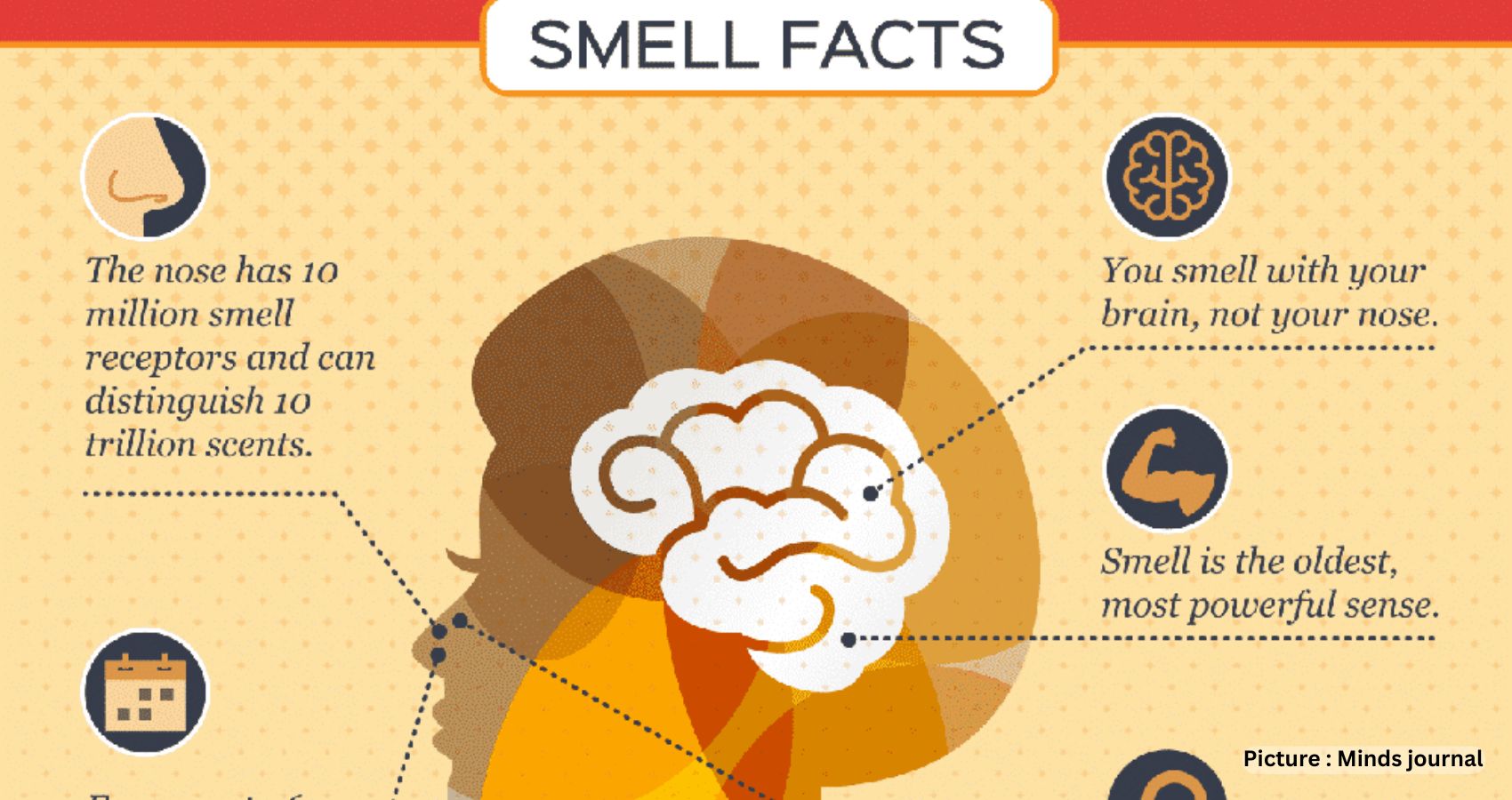 Sense Of Smell To Boost Energy And Mood