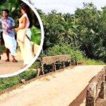 Feature and Cover 'Kireedam Bridge ’ a Salute to Malayalam Cinema