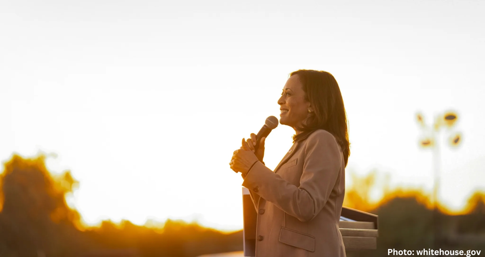 Feature and Cover Democrats Push 'Joy' Strategy in 2024 Race Positioning Kamala Harris as a Unifying Force