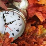 Featured & Cover  States and Territories Opting Out of Daylight Saving Time A Comprehensive Overview