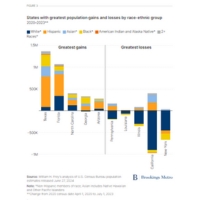 Thumbnail Census shows America’s post 2020 population is driven by diversity especially among the young (3)