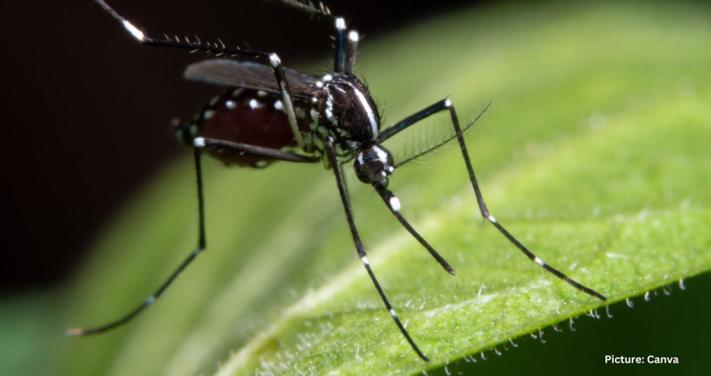 Three New Jersey Residents Die From West Nile Virus as State Cases Rise to 16