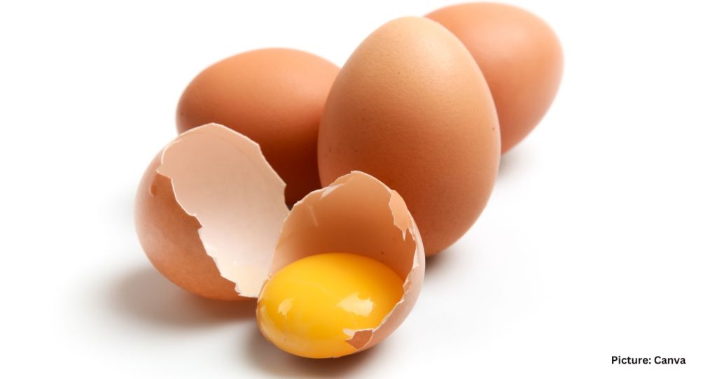 Egg Prices Surge Amid Bird Flu Outbreak, Shortages, and Thefts