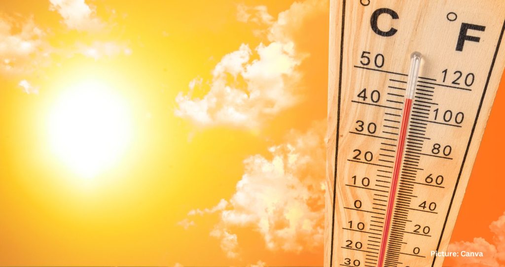 January 2025 Becomes Hottest on Record, Defying Expectations and Raising Climate Concerns
