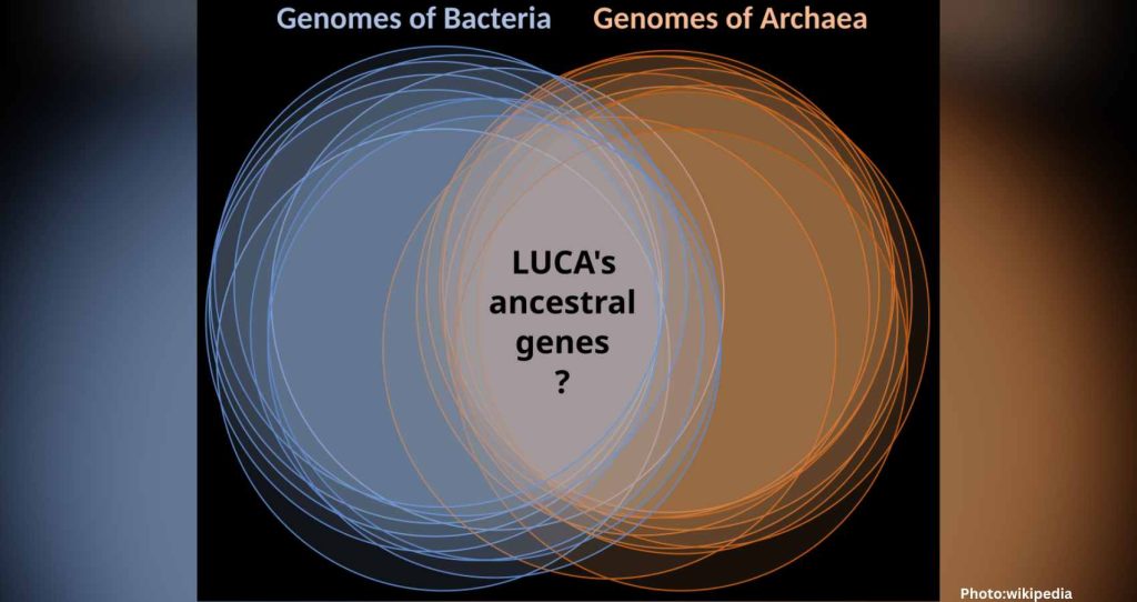 Scientists Reconstruct LUCA: The Ancient Microbe That Sparked All Life on Earth