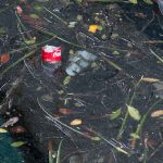 Feature and Cover Coca Cola Faces Global Boycott Over Plastic Pollution Concerns