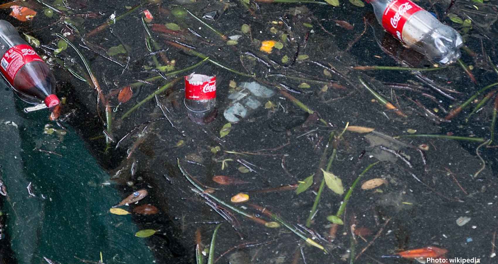 Coca-Cola Faces Global Boycott Over Plastic Pollution Concerns