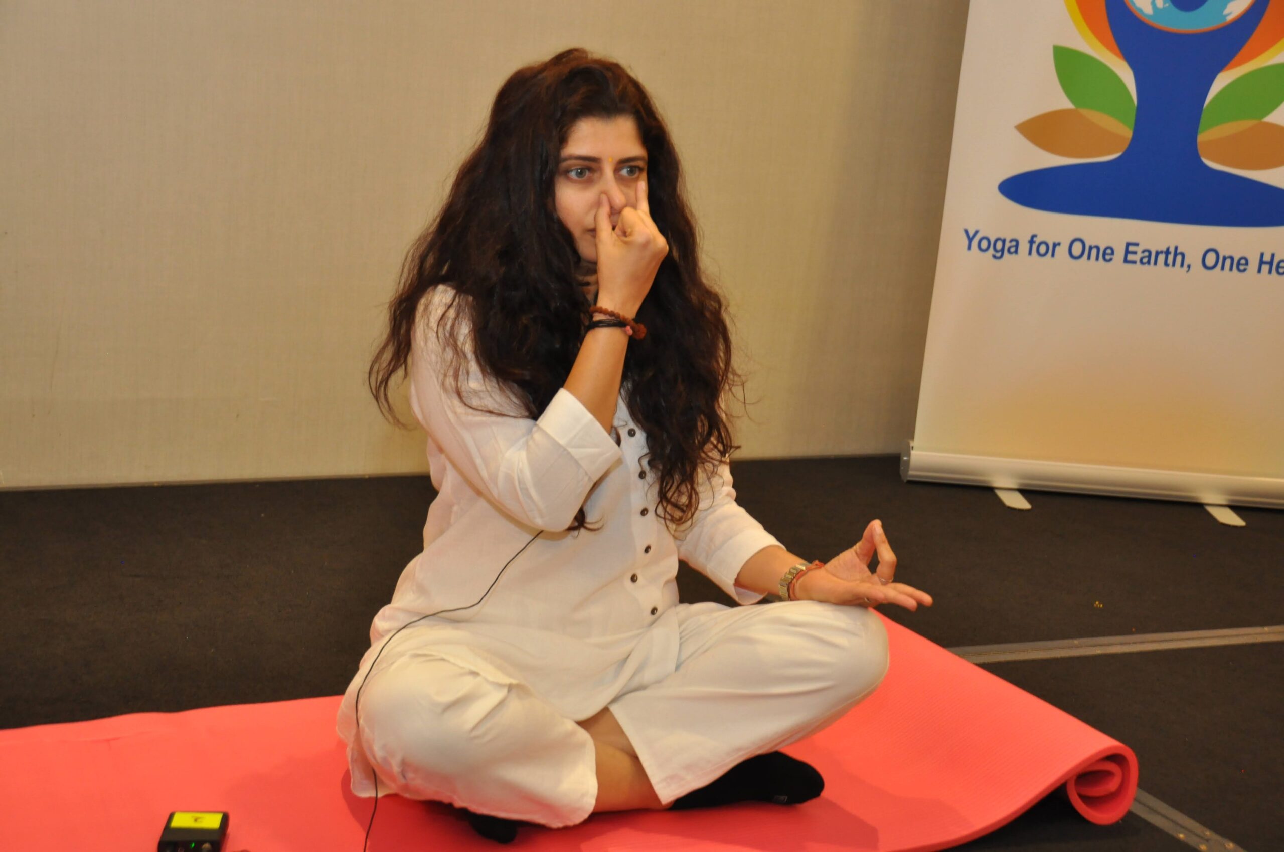 5Over 300 Gather in Edison for International Yoga Day Celebration Amid Rain