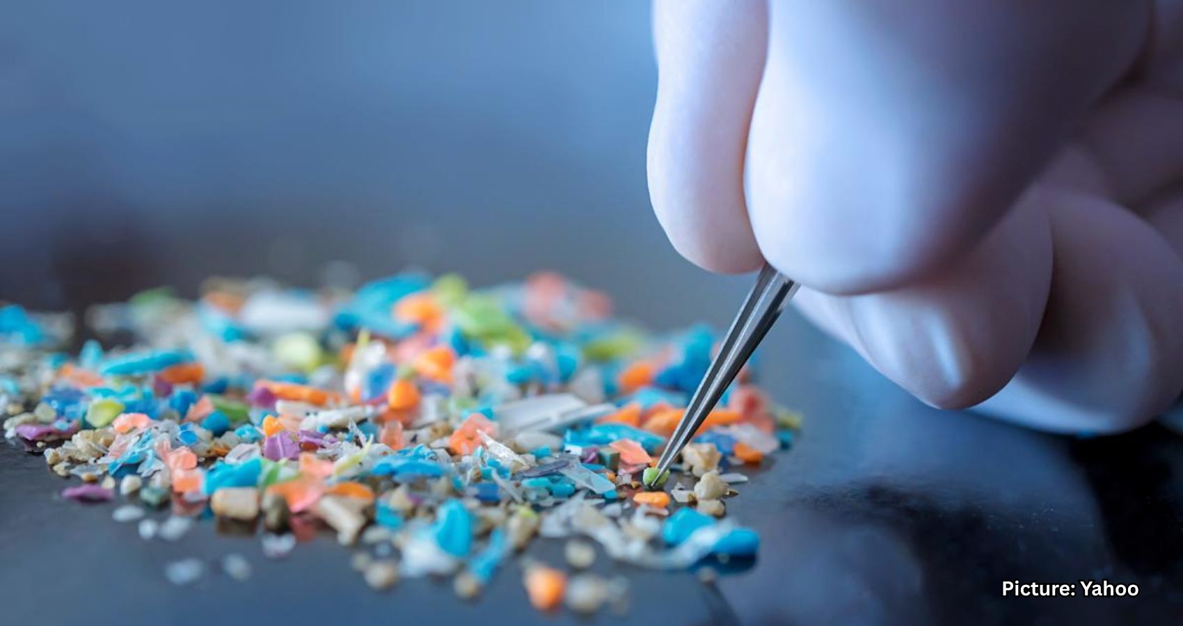 Microplastics: The Invisible Pollutant We’re Consuming Every Day