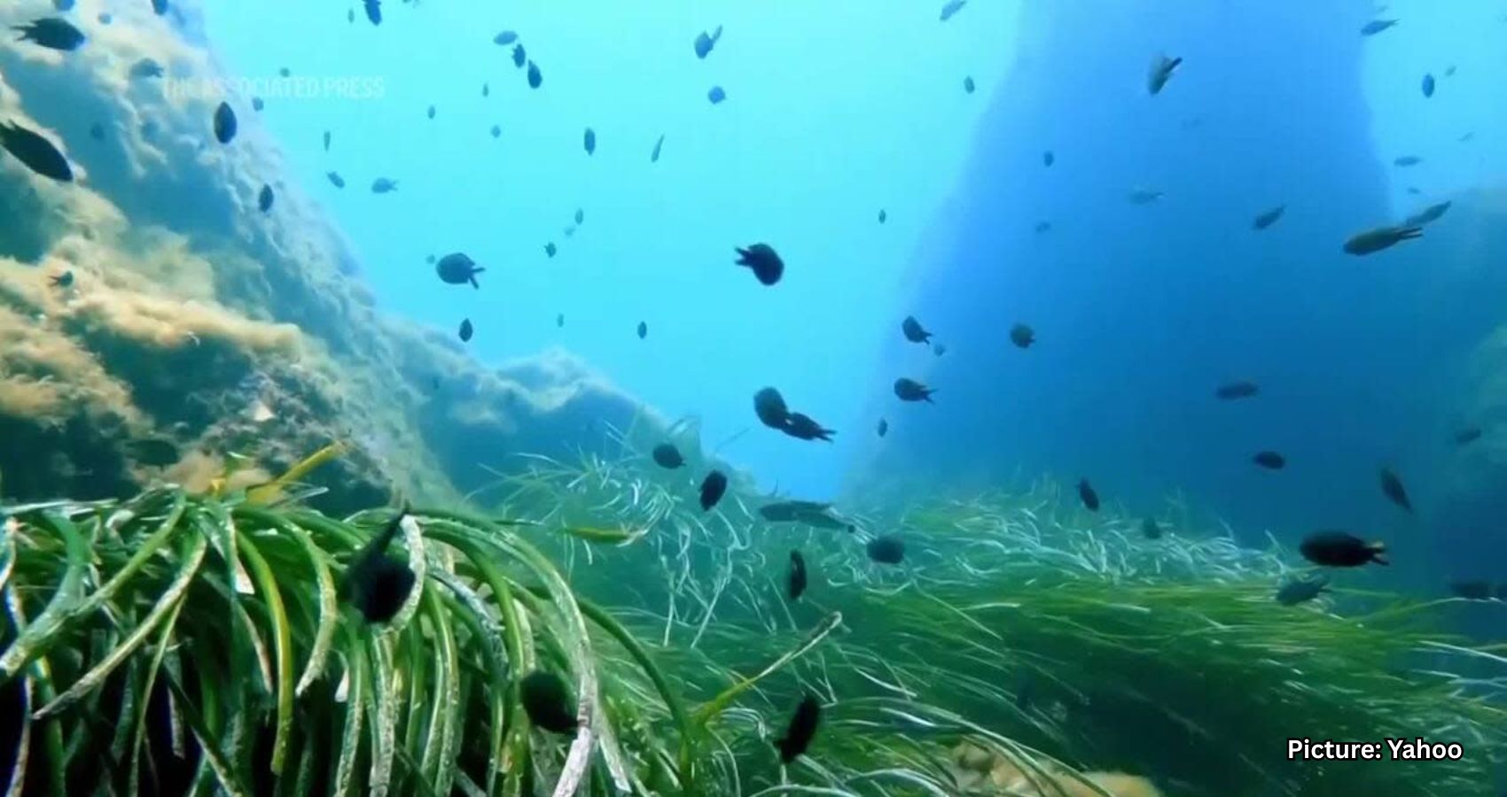 Featured & Cover UN Ocean Conference Ends with Promises and Pressure to Act Hopes Ride on Next Steps