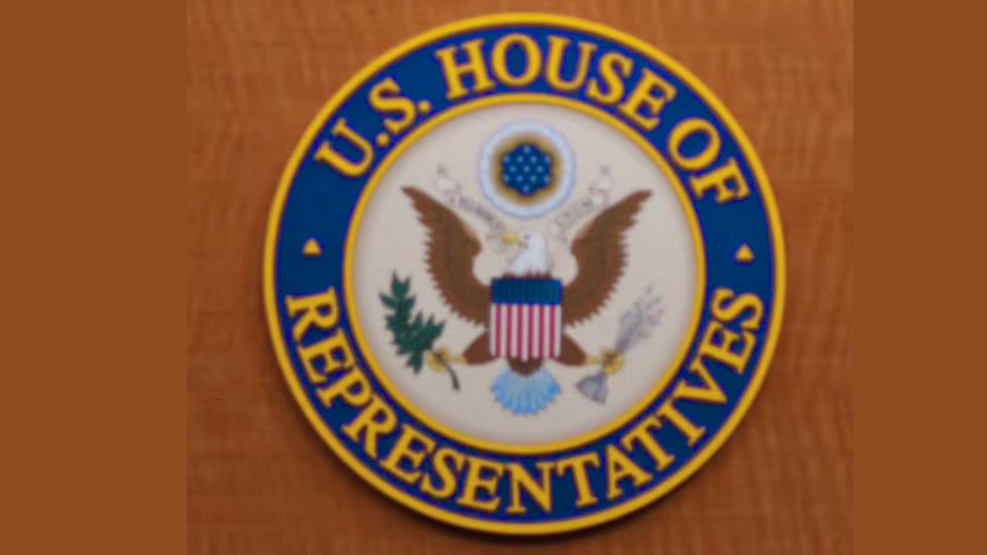 House Votes to Deport Noncitizens Convicted of Driving Drunk