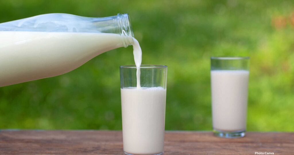 Feature and Cover Study Milk More Hydrating Than Water Beneficial in Summer Months