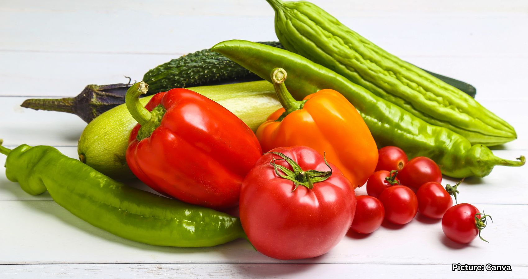Veggie Fest 2025: Tim Fior Discusses Brain Boost from Plant Diet