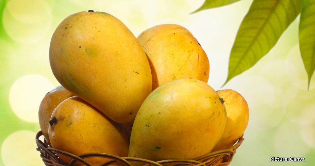 Featured & Cover Eating Mangoes Regularly Effects on the Body