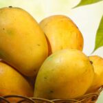 Featured & Cover Eating Mangoes Regularly Effects on the Body