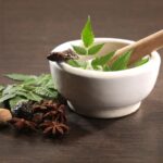 Featured & Cover India Gains Recognition in WHO Report for Ayush and AI