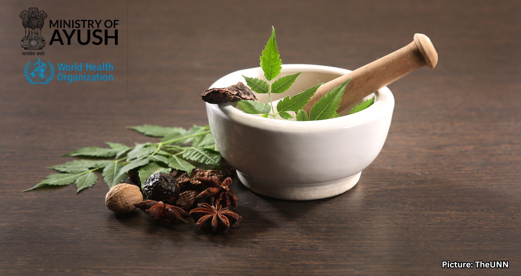 India Gains Recognition in WHO Report for Ayush and AI