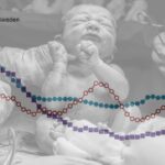Featured & Cover Italy Seeks Solutions for Falling Birth Rates