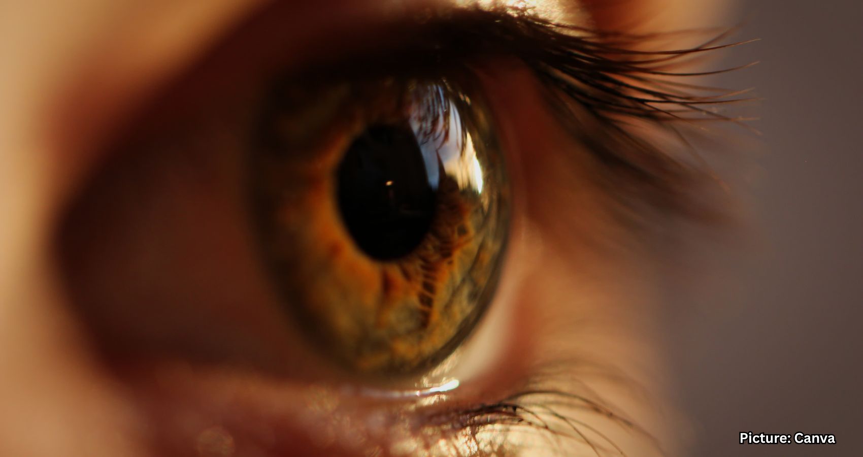 Featured & Cover Natural Discovery May Restore Eyesight Scientists Report