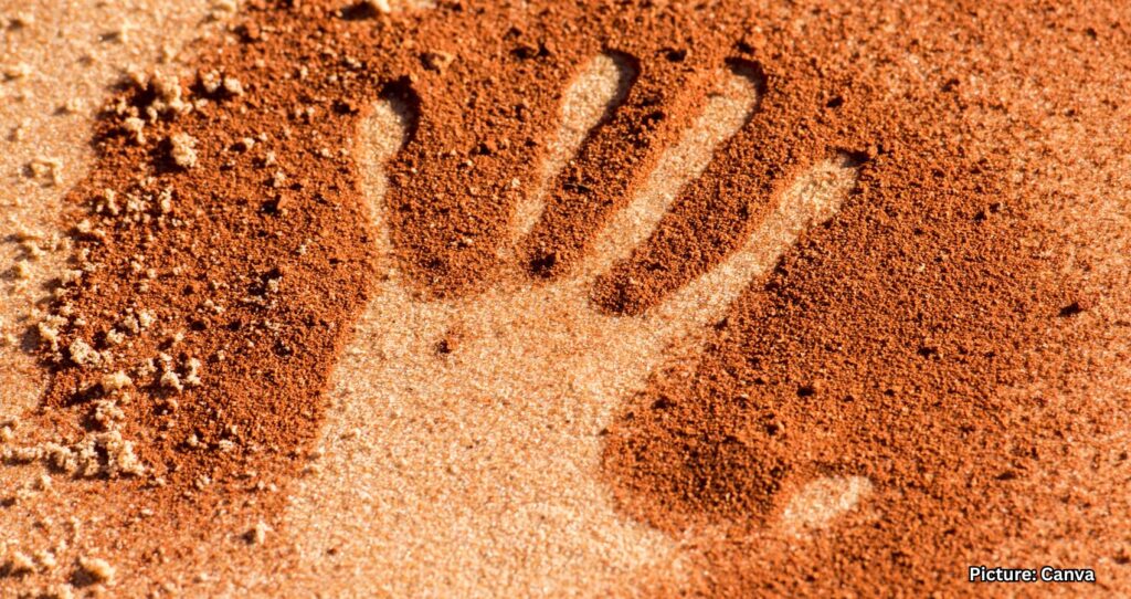 Featured & Cover Study Reveals 50 000 Years of India's Evolutionary History