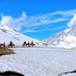Feature and Cover Horsemen in Kashmir Struggle as Tourist Destinations Remain Closed
