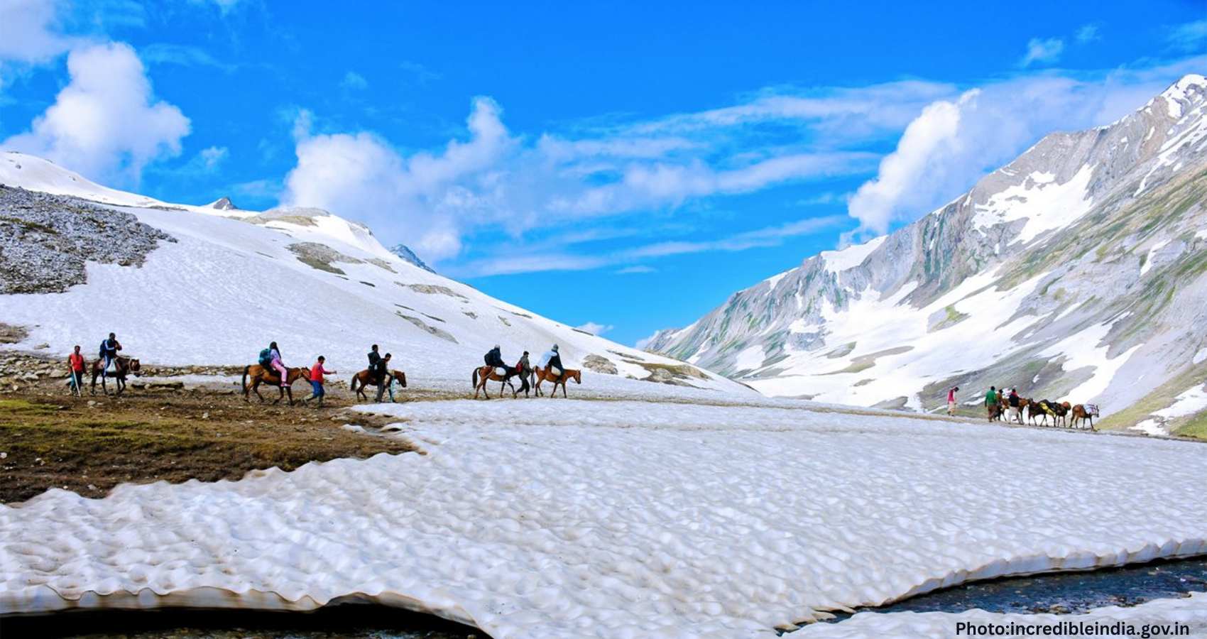 Feature and Cover Horsemen in Kashmir Struggle as Tourist Destinations Remain Closed