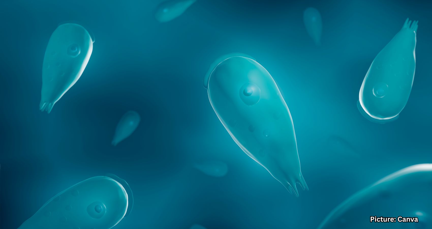 Featured & Cover Brain Eating Amoeba Infection Claims Life of Missouri Patient