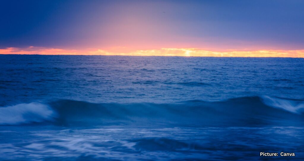 Earth’s Oceans Darkening, Posing Risks to Marine Life Globally