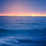 Featured & Cover Earth's Oceans Darkening Posing Risks to Marine Life Globally