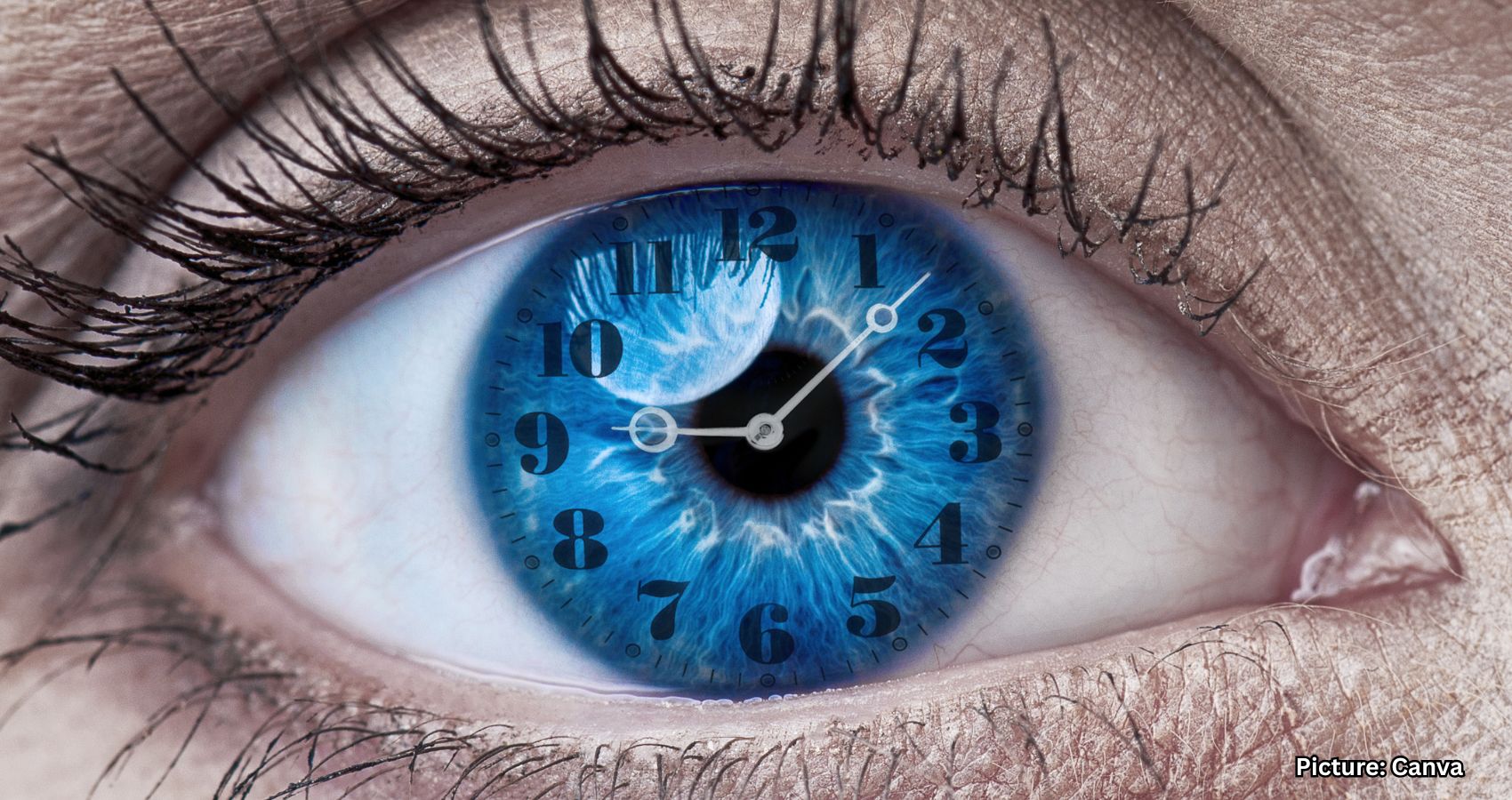 Featured & Cover Study Examines Accuracy of Personal Memories