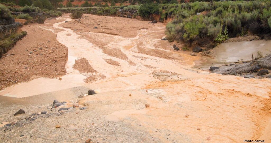 Punjab Government to Permit Sale of Flood-Deposited Sand by Farmers