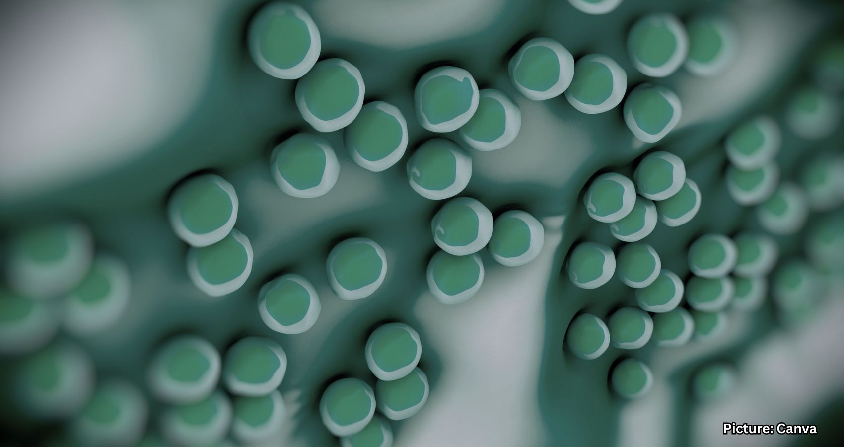 Featured & Cover Surge in Superbug Infections Across the U S Raises Expert Concerns