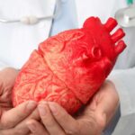 Feature and Cover A Wake Up Call for Indian American Heart Health Awareness