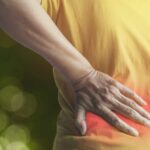 Feature and Cover Coping Strategies for Low Back Pain Among Indian Americans