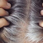 Feature and Cover Gray Hair May Contribute to Cancer Defense Study Finds