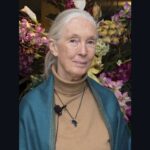 Feature and Cover Jane Goodall's Cause of Death Disclosed Following Her Passing at 91