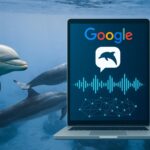 Featured & Cover Google Develops AI Technology to Decode Dolphin Communication