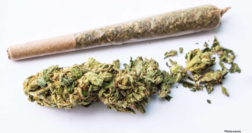 Mysterious Vomiting Disorder Linked to Marijuana Receives WHO Code