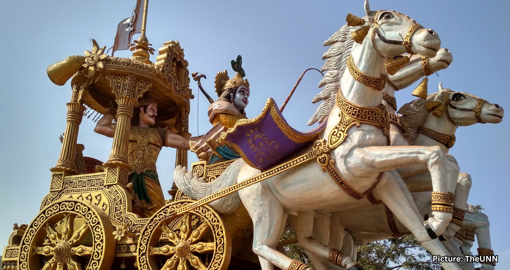 Arjun Nelabhotla Reflects on the Importance of Being Observant