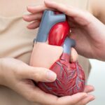 Featured & Cover Common Viruses Associated with Increased Heart Attack and Stroke Risk